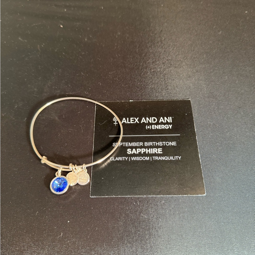 Alex and Ani Silver Blue Charm Bracelet - Picture 2 of 2